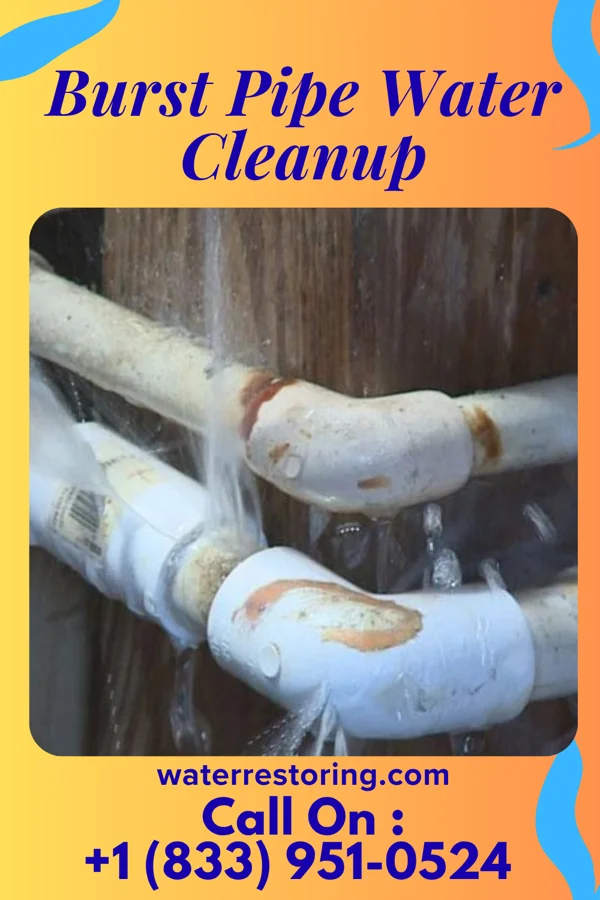 Burst Pipe Water Cleanup in Butler, KY