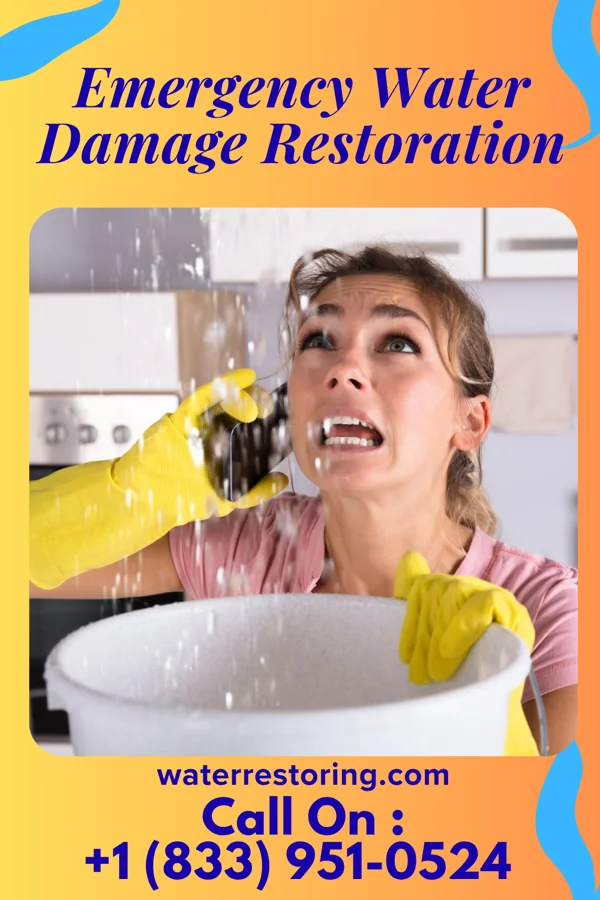 Emergency Water Damage Restoration in Butler, KY