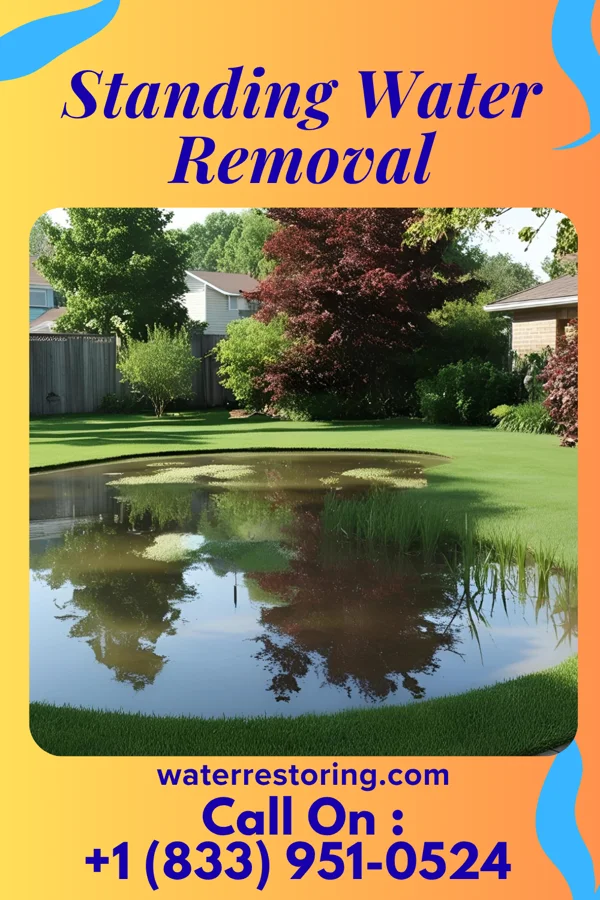 Standing Water Removal in Butler, KY